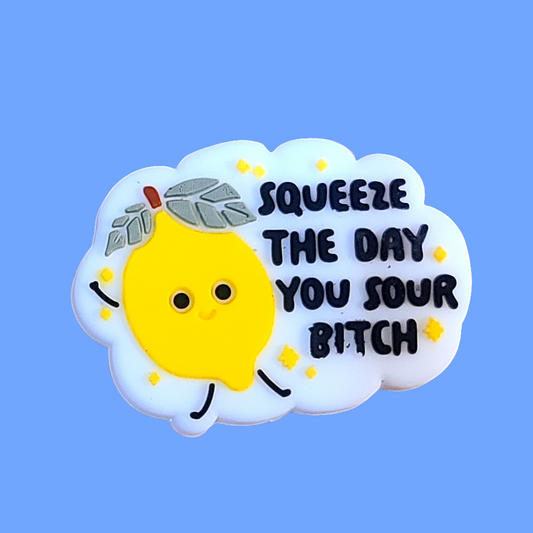 Squeeze The Day You Sour Bitch Silicone Focal Bead