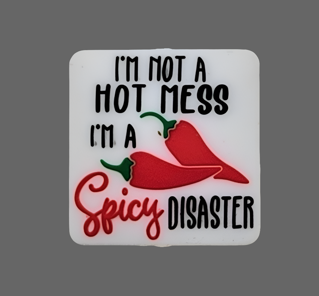 I'm Not A Hot Mess I'm A Spicy Disaster Focal Bead