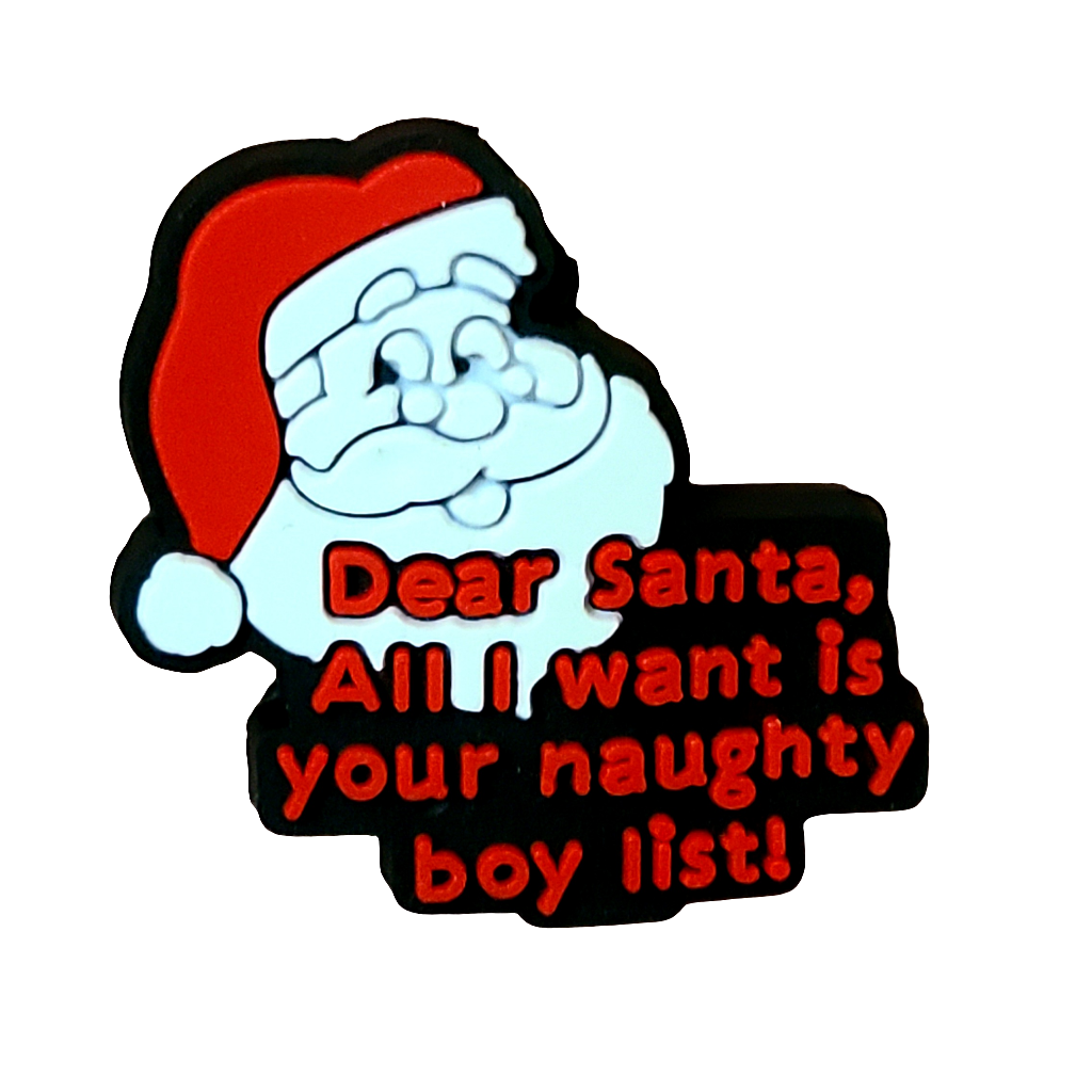 Dear Santa All I Want Is Your Naughty Boy List  Silicone Focal Bead