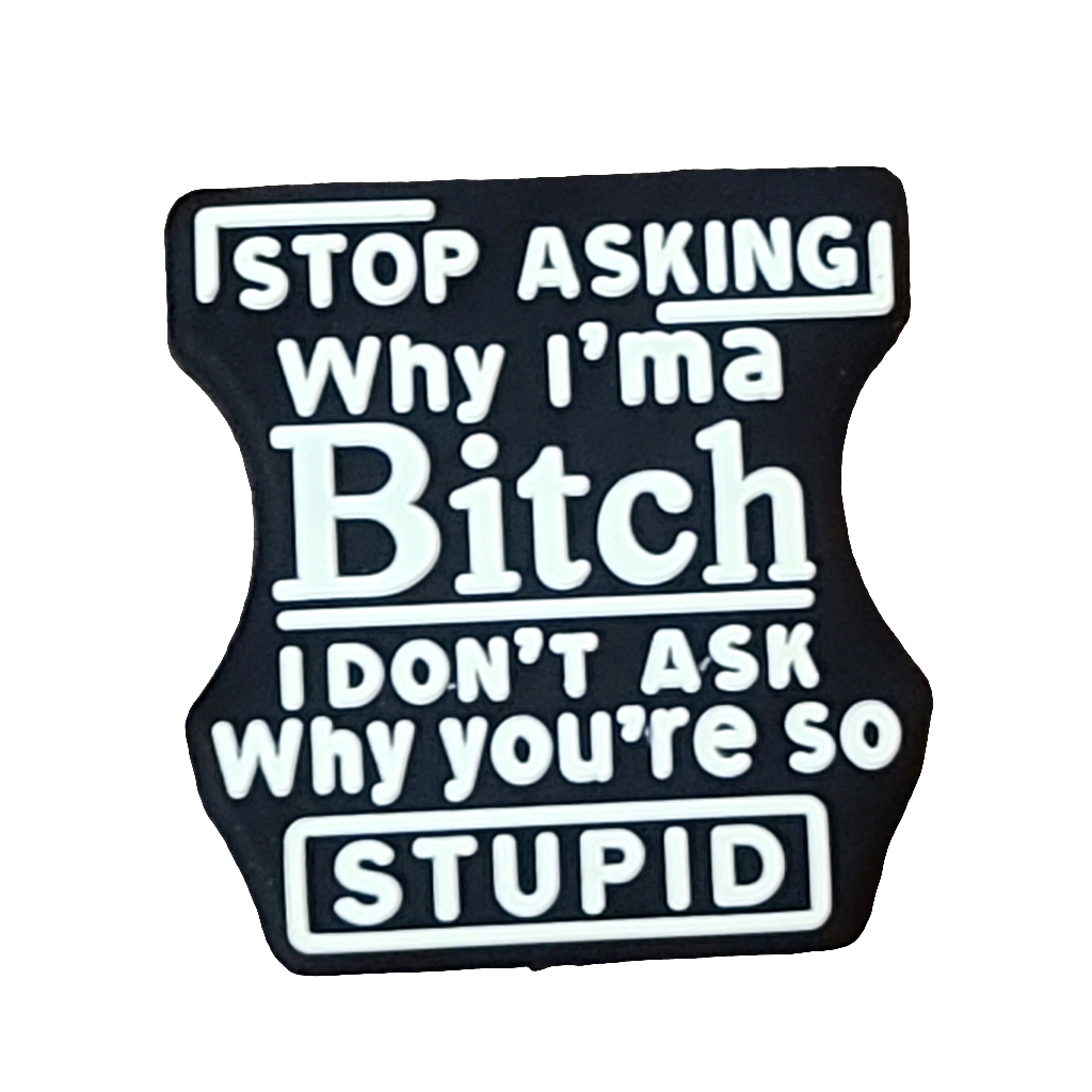 Stop Asking Why I'm A Bitch I Don't Ask Why You're Stupid Silicone Focal Bead