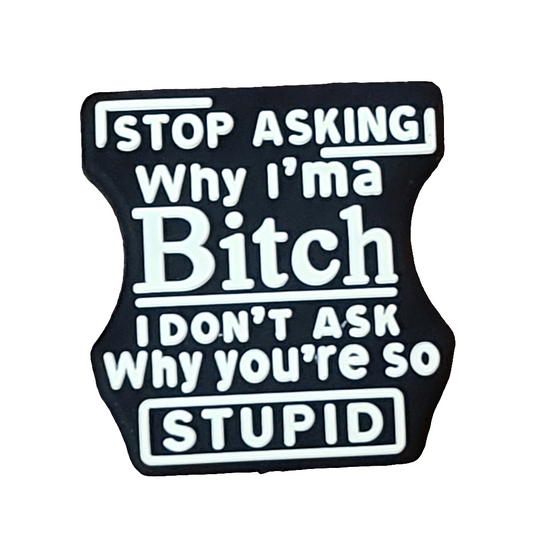 Stop Asking Why I'm A Bitch I Don't Ask Why You're Stupid Silicone Focal Bead